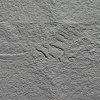 Панель декоративная HLSP60290-04 Скала Volcanic grey#2